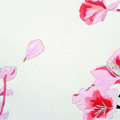 Diseñadores: «Ilustraciones» de Josefina Costa