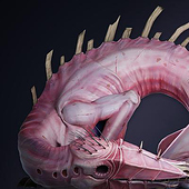 «„The Shrimp“ – 3D Kreatur des Spiels S.M.P.C.U.» de Simon Waldschütz