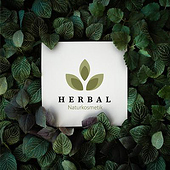 «Corporate Design Herbal» von Magdalena Piller