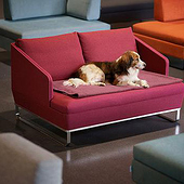 «Design und Interior» de Samuel Köppel