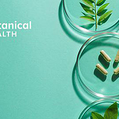 Diseñadores: «Botanical Health Visual Identity» de Johanna Fischer
