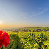 «Schockes Laurentiushof – Haus, Garten und Weinberge» de Schepers Photography
