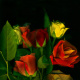 roses54 Kopie