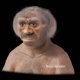 neandertaler