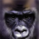 Gorilla – Mit Photoshop „gemalt“