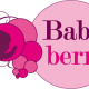 Logo Babyberry Fotografie
