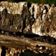 NATURE wood STREIFEN IMG 42