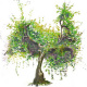Aquarell „Olivenbaum“