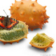 Kiwano, Illustration, Food, Verpackung