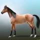 „Horse“ 3D Character for Game