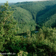 Nationalpark Eifel