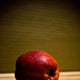 lonely nectarine