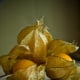 cape gooseberry threesome