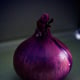 last onion standing