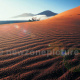 WUESTE-Namib