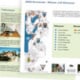 Briefpapier & Visitenkarten / Imagebroschüre / Styleguide