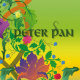 Illustration Peter Pan Buch