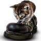 Katze digitalpaint Photoshop für Kalender 2008