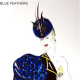 blue feathers