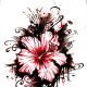 logo-blume