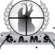 Logo Gams