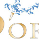 Logo Dora