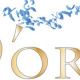 Logo Dora Plus