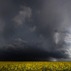 Gewitterfront über den endlosen Rapsfeldern des Zabergäu, Frühjahr 2009