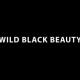 WILD BLACK BEAUTY