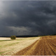 gewitter über feld