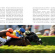 Folgedoppelseite zum Artikel „Pferdebesitzer für ein Rennen“