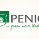 Stadt Penig – Logogestaltung, Corporate Design