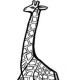 Giraffe-web