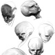 heads