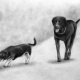 zwei Hunde 2010, Bleistift Papier A4, 10€