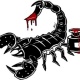 tintenskorpion
