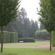 Friedhofsatmosphäre in Wiesbaden