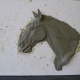 Pferd