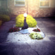 Garden Statue