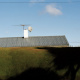 Oamaru Hedge: Exceeds 100 years of age, 2005