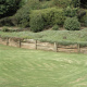Lawn (Matakana), 2008