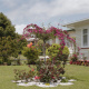 Rose Standard (Pukekohe), 2007