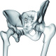 Medizinische Illustration, 3D-Illustration, Hüfte