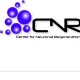 CNR Präsentation Logos wg 20090317 Seite 3
