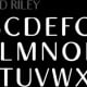 Round Riley typeface