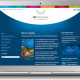 mr. net group – Homepage