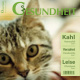 Magazincover zum Thema Gesundheit