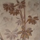 Golden Leaves, 50 × 100 cm