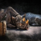 Rhino