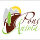 Pons Anima